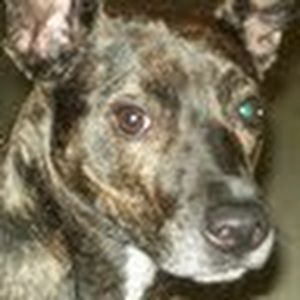 Meet your Posher, Katherine